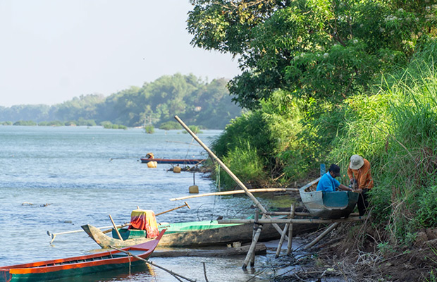 Half-Day: Discover Kratie Dolphin Tour