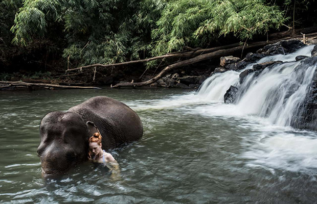 3-Day: Discover Mondulkiri Wildlife Adventure