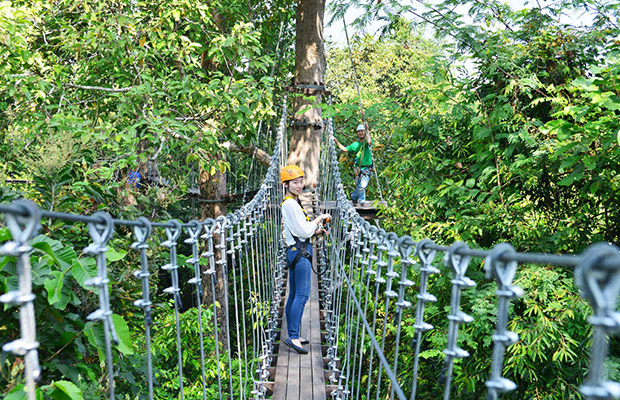 Angkor Zipline Eco-Adventure Canopy Tour