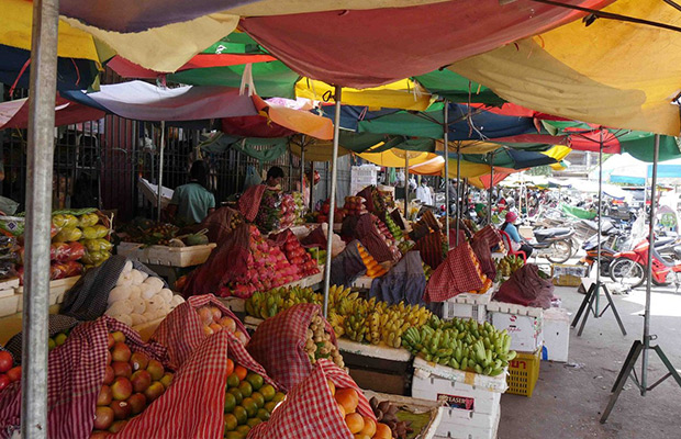 Battambang: Full-Day Highlights & Hidden Gems Walking Tour