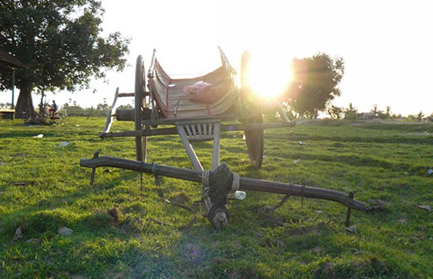 Best Adventure of Ox Cart Sunrise Tour