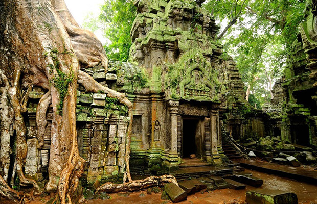 Explore Angkor Thom, Ta Prohm & Angkor Wat Day Tour