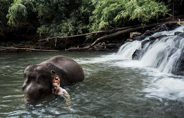 Full-Day: Mondulkiri Eco-friendly Elephant Experience Tour