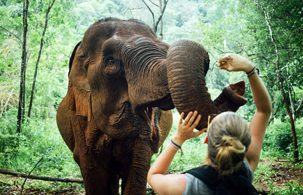 Full-Day: Mondulkiri Eco-friendly Elephant Experience Tour