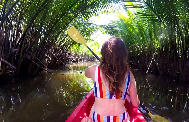 Half-Day Kayak Guided Tour to the Green Mangroves Forest