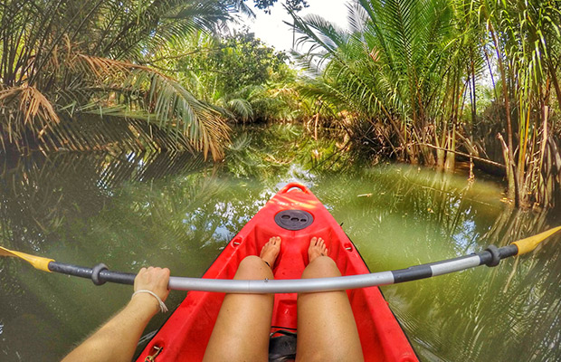 Half-Day Kayak Guided Tour to the Green Mangroves Forest