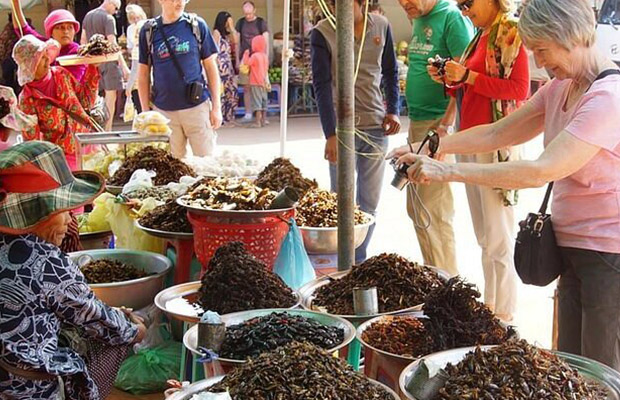 Kampong Thom: Sambor Preikuk, Kuhak Nokor & Spider Market Day Trip