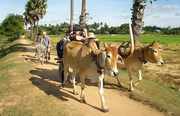 Kratie Cycling & Kayaking Experience Tour