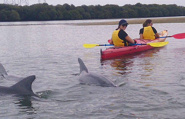 Kratie: Kayak Adventure with Dolphin Watching Tour