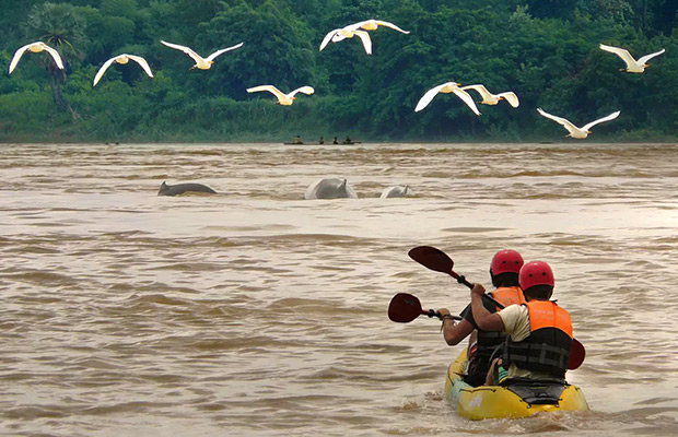 Kratie: Kayak Adventure with Dolphin Watching Tour