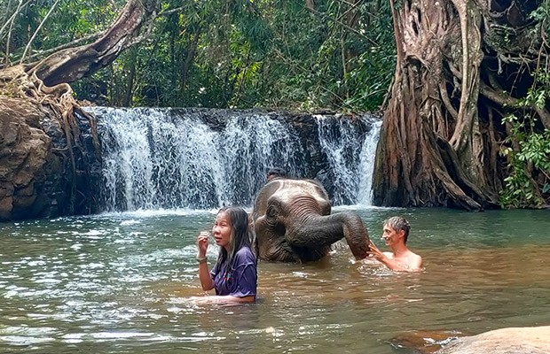 Mondulkiri Gibbon Trekking + Elephant Forest Tour