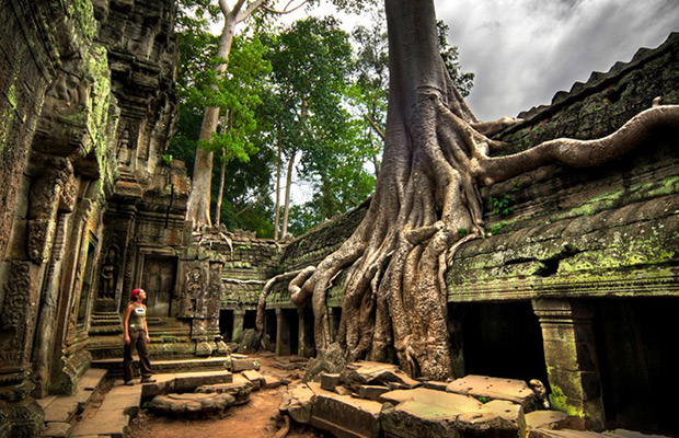 Ta Prohm and Banteay Kdei Temple Tour