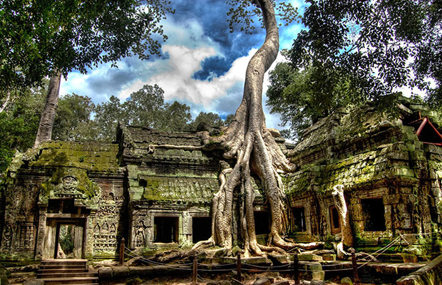 Ta Prohm and Banteay Kdei Temple Tour