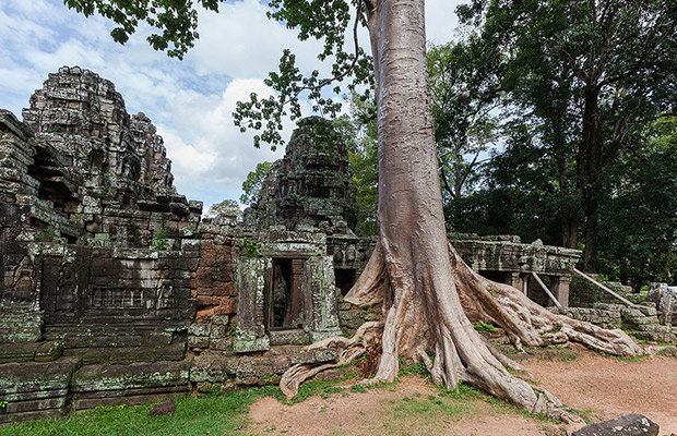 Ta Prohm and Banteay Kdei Temple Tour