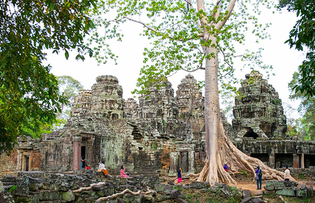 Ta Prohm and Banteay Kdei Temple Tour