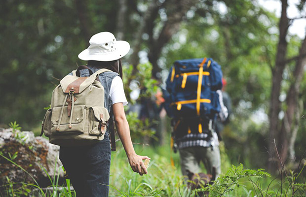 Explore Gibbon Spotting in Veun Sai-Siem Pang National Park